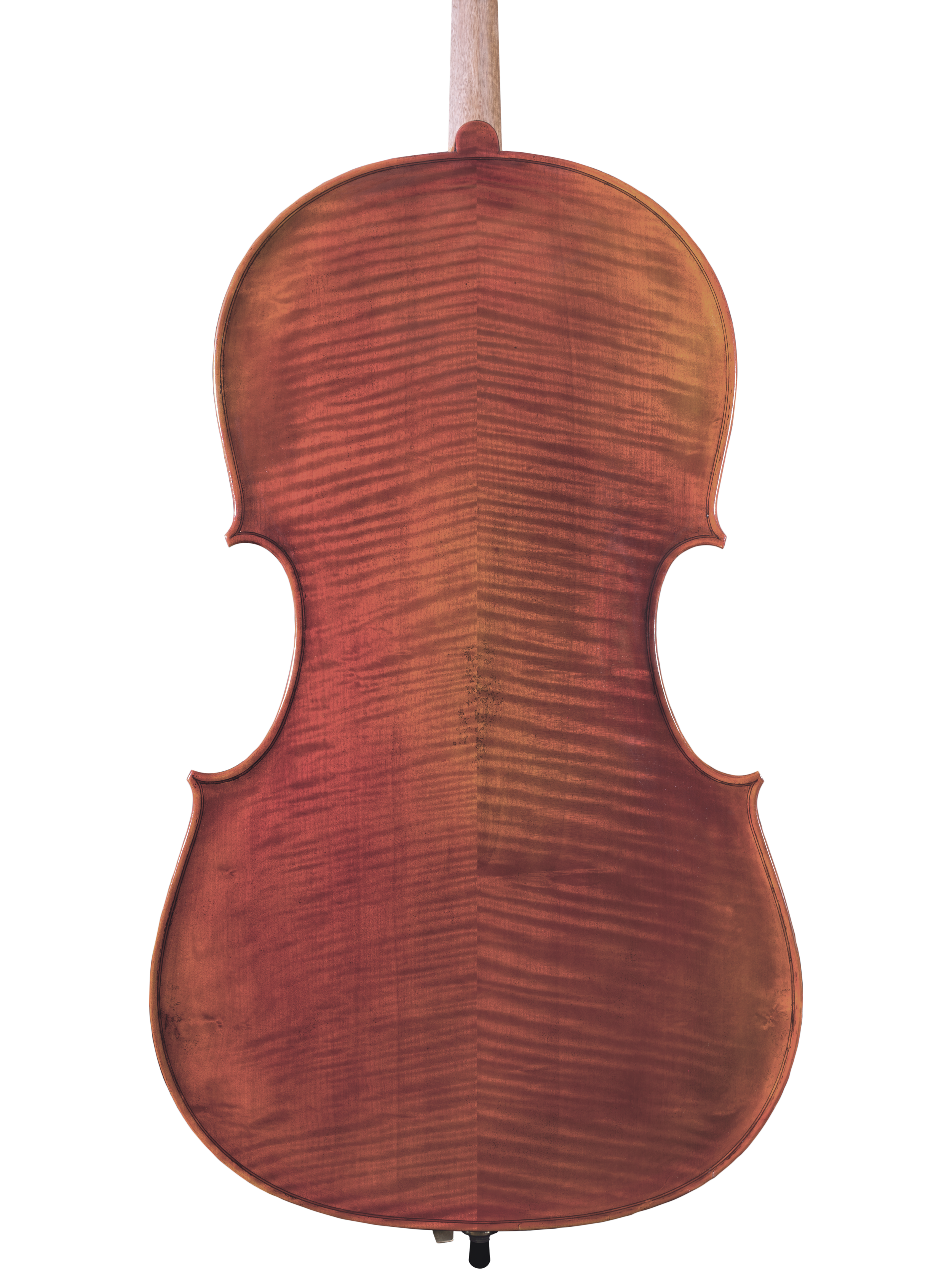 Cello — Store 1 — Maple Leaf Strings